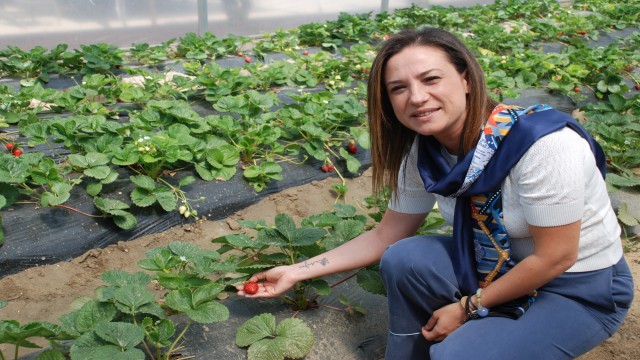 Selçukun gözbebeği Efes Tarlası Yaşam Köyü açılıyor