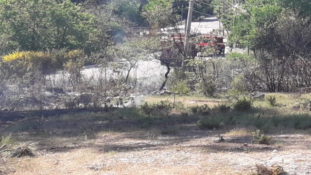 Seydikemerde zeytin bahçesinde çıkan yangın söndürüldü