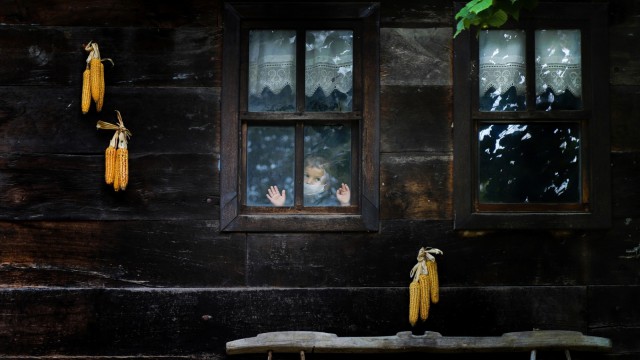 “Şifa Eli” fotoğraf yarışması ödülleri sahiplerini buldu