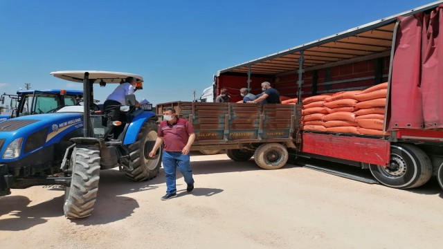 Silifkede çeltik üreticisine tohum desteği
