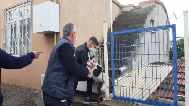 Şimşek korkusuyla kaçarken demir parmaklıklara sıkıştı