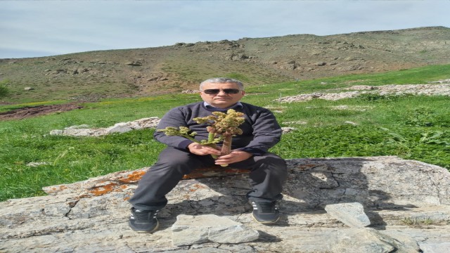 Sincikte yaylalara akın başladı