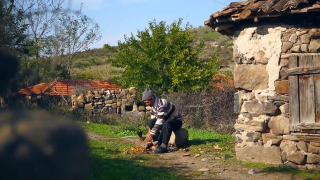Sındırgıda kök boya bahçeleri kuruluyor