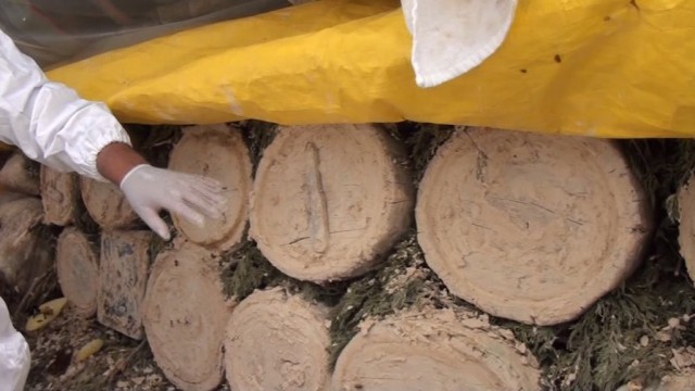 Siparişleri yaylaya çıkmadan önce alıp, yılda sadece 4 kilo üretiyorlar