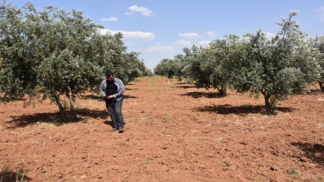Şırnaklı çiftçilerden sulama barajı talebi