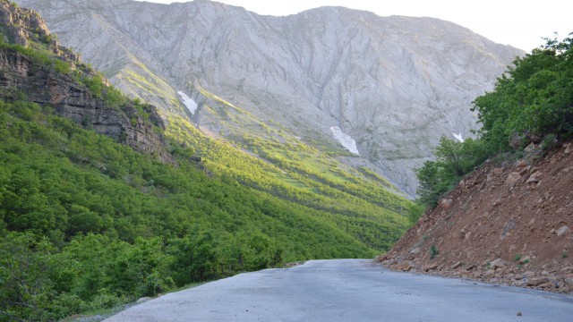 Şırnakta karlar eridi doğa yeşile büründü