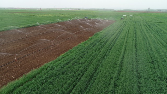 Şırnakta sulama sezonu başladı