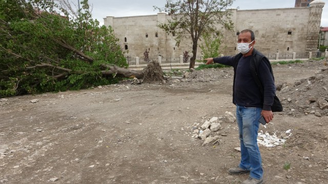 Sivasta fırtına ağaçları kökünden söktü