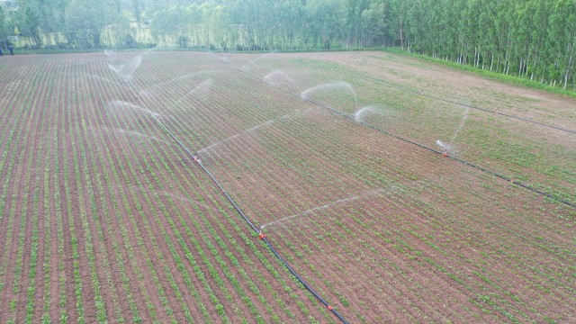 Sivasta sulu tarım ile ülke ekonomisine milyarlık katkı sağlanacak