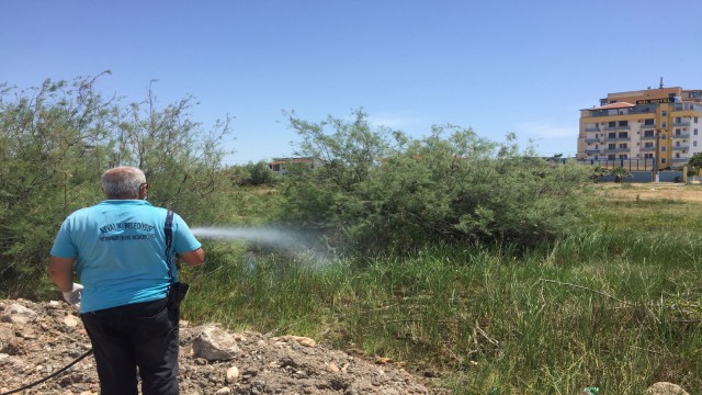 Sivrisinekle kesintisiz mücadele