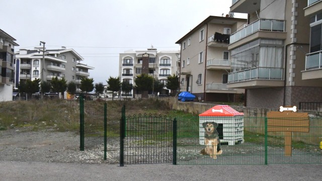 Sokak hayvanları için özel proje