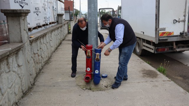 Sokak hayvanları kısıtlamada aç kalmadı