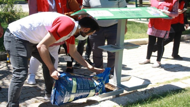 Sokak hayvanları unutulmadı