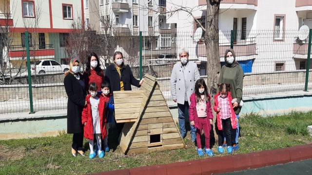 Sokak kedileri emin ellerde