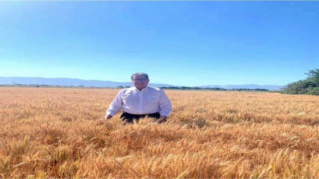 Söke Borsa Başkanı Nejat Sağel: “Buğday fiyatları sevindirdi”