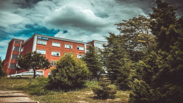 SUBÜ senatosundan Filistindeki zulme tepki