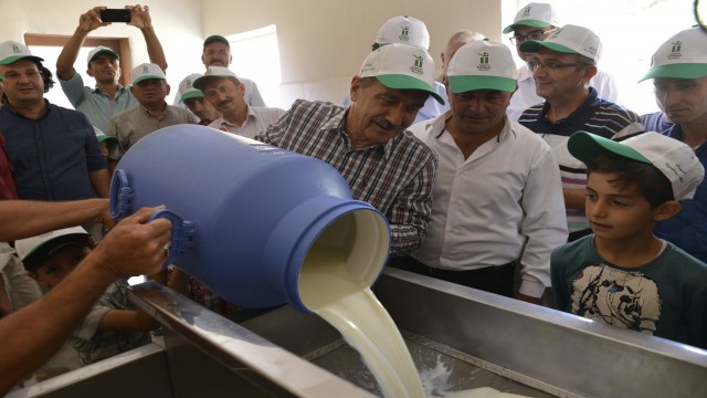 Süt üreticilerinin emeği kazanca dönüşüyor