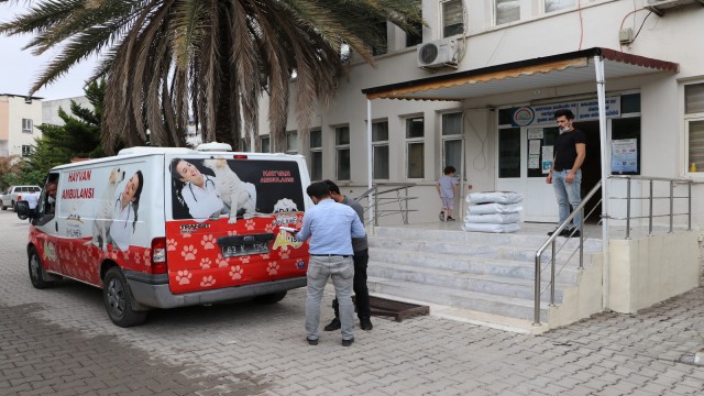 Tam kapanmada sokak hayvanları unutulmadı