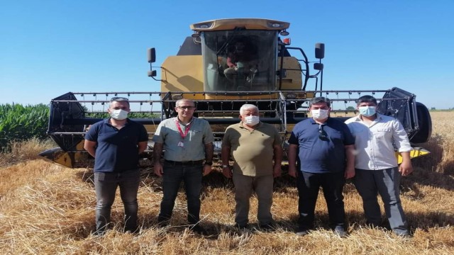 Tarsusta yerli tohum ekimi yapılan buğday çeşitleri hasat edildi