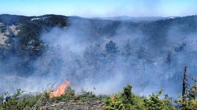 Tavşanlıdaki orman yangını kısa sürede söndürüldü