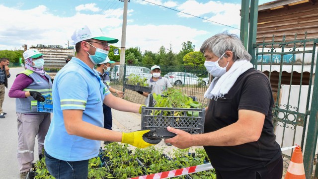 Tepebaşında 7 bin 480 adet fide dağıtıldı