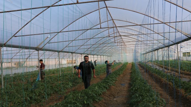 Terörden temizlenen topraklar üretici ile yeniden hayat buluyor