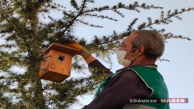TOKİ konutlarında hayvan sevgisi sınır tanımıyor