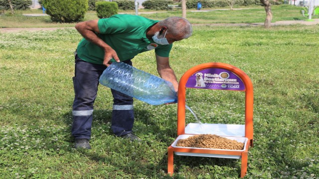 Toroslar Belediyesi, tam kapanmada sokak hayvanlarını unutmadı