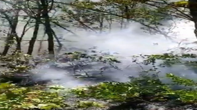 Tuncelideki örtü yangını kontrol altına alındı