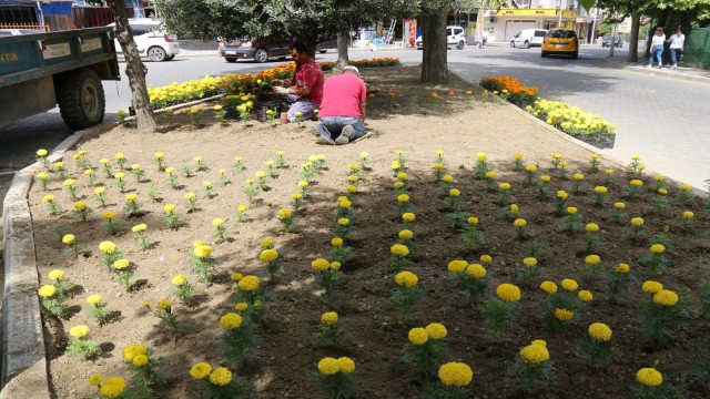Turgutlu rengarenk bir görünüme kavuşuyor