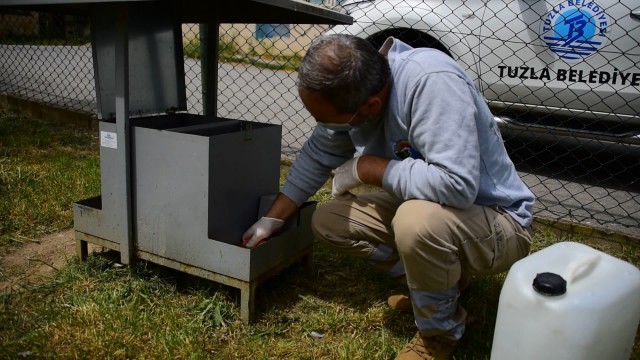 Tuzlada tam kapanmada sokak hayvanları unutulmadı