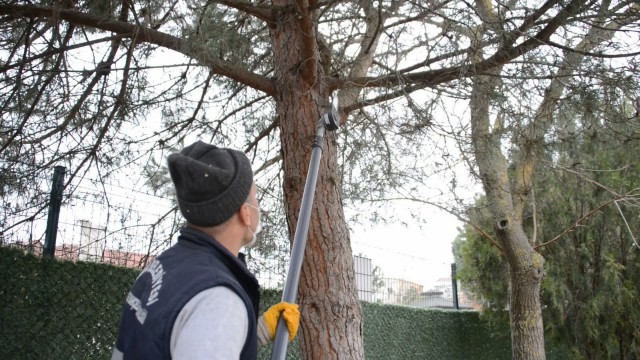 Tuzlada toplanan atık dallar ile 5 bin ailenin 24 saatlik elektriği üretiliyor