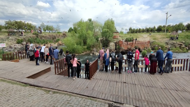 Uçan balıkların muhteşem göçü devam ediyor