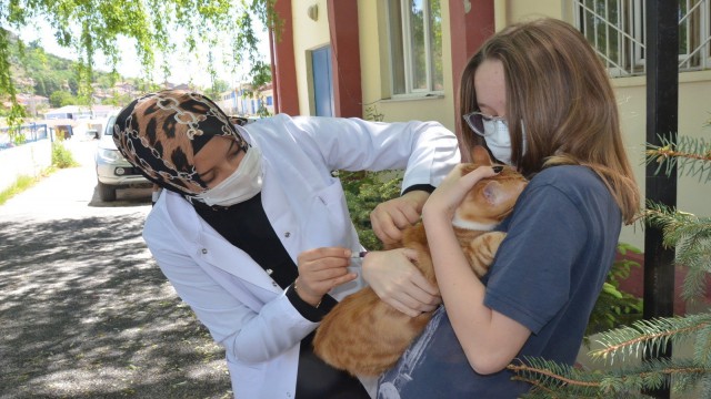 Ücretsiz aşı kampanyası yoğun ilgi gördü