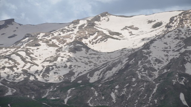 Ülkedeki göçerler Şırnak yaylalarına akın ediyor