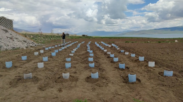 Vanlı çiftçi, 100 adet pet bidonla sera kurdu