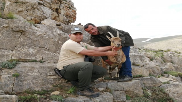 Yaban Hayatı Geliştirme Sahasında sevindiren gelişme