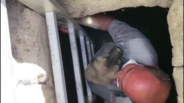 Yavru köpek, kendisini kurtaran itfaiye erini duygulandırdı