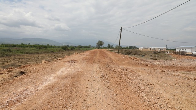 Yeni hayvan pazarına ulaşım için yollar açılıyor