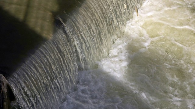 Yüksekovada uçan balık şöleni