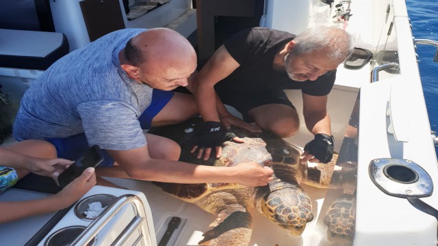 Zeynepin dikkati, dev deniz canlısını kurtardı