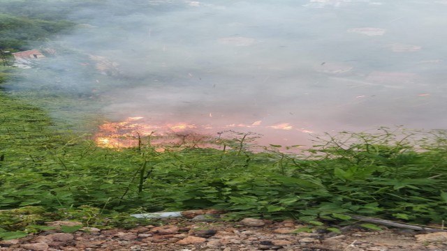 Zonguldakta çıkan yangın korkuttu