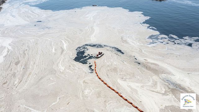 3 günde 733 metreküp müsilaj toplandı