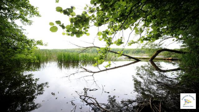 İstanbul'un yanı başındaki "saklı cenneti"