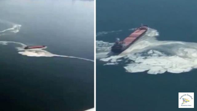 Kartal Sahili'nde deniz salyası felaketi