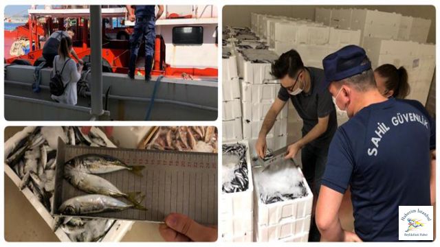 Beylikdüzü Balık Halinde Sıkı Denetim