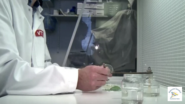 Artık Kahve de Laboratuvardan Çıkacak