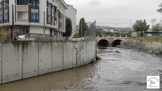 Esenyurt'taki deredeki kirlilik isyan ettirdi