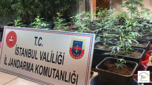 İstanbul'da eş zamanlı uyuşturucu operasyonu