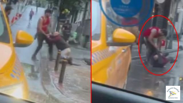 Turist mi?, Cani mi?